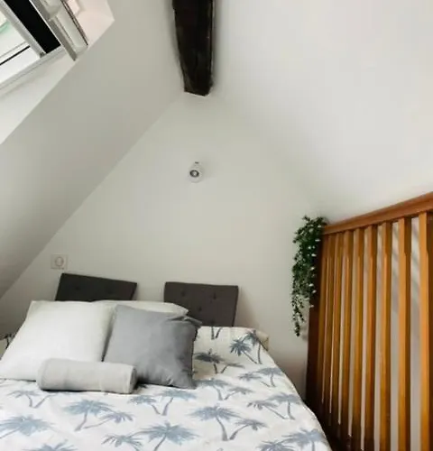 Louvre Apartment Paris